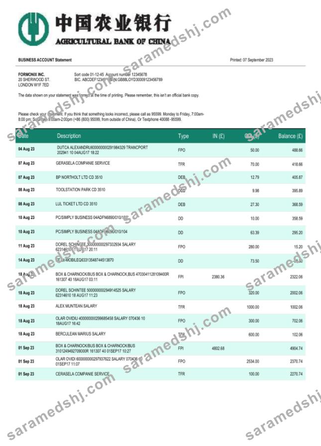 Agricultural bank of China business account statement Word and PDF template